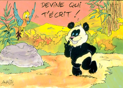 panda couleur
